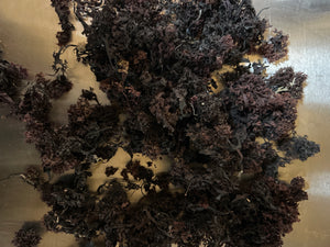 Wild crafted purple Irish Sea Moss